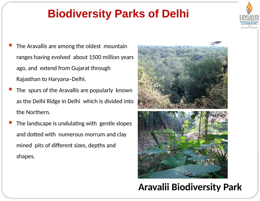 Pallavi Tiwari Assistant Professor PUBLIC - slide 6 of 10
