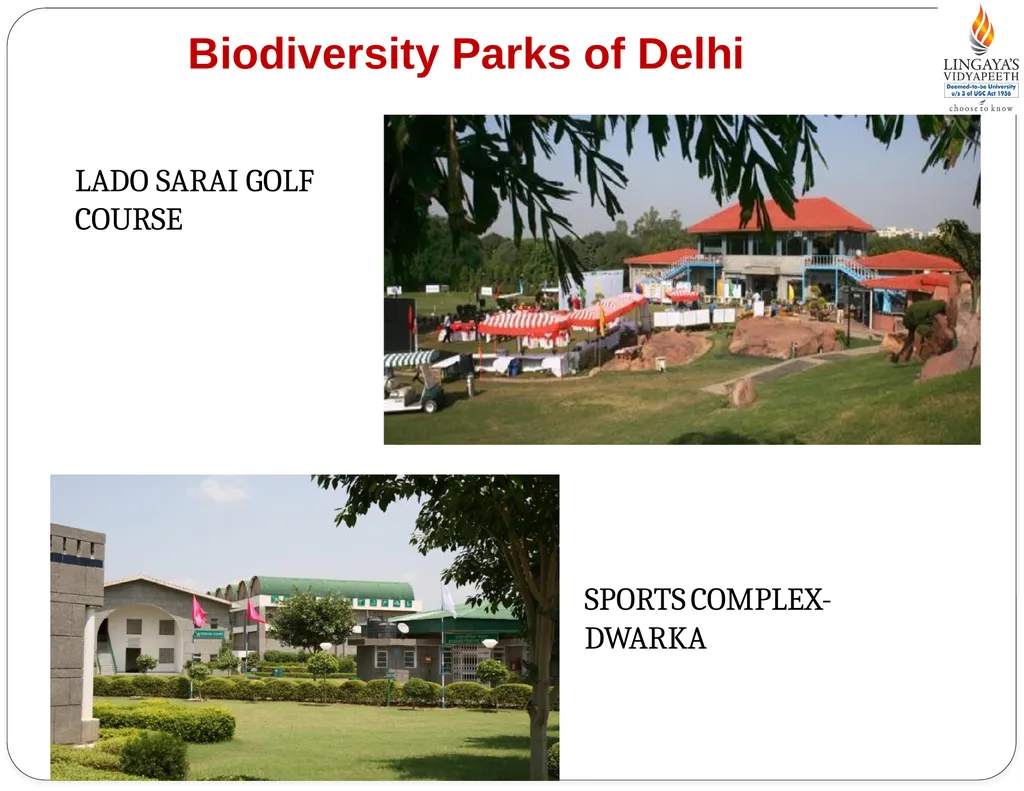 Pallavi Tiwari Assistant Professor PUBLIC - slide 7 of 10