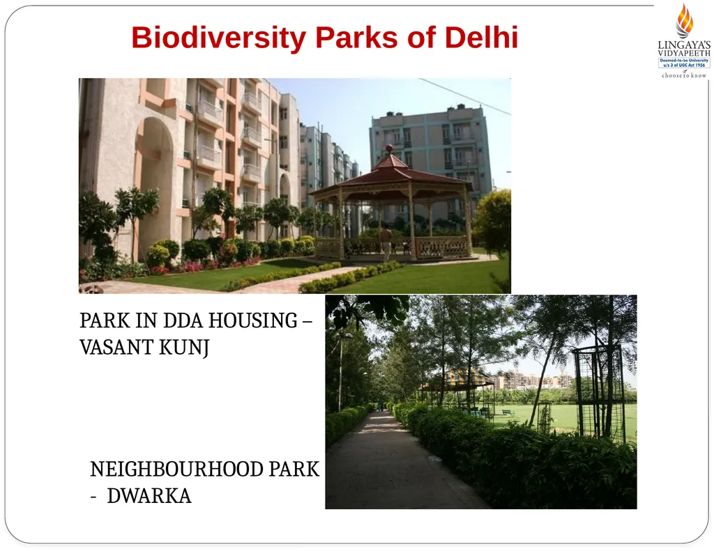Pallavi Tiwari Assistant Professor PUBLIC - slide 8 of 10