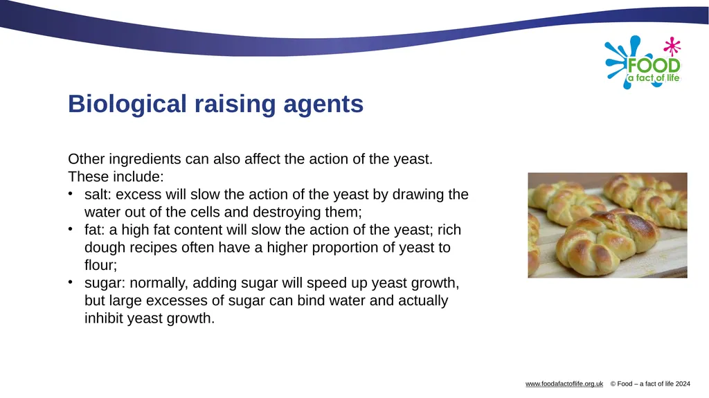 Raising agents Raising agents include anything - slide 10 of 14