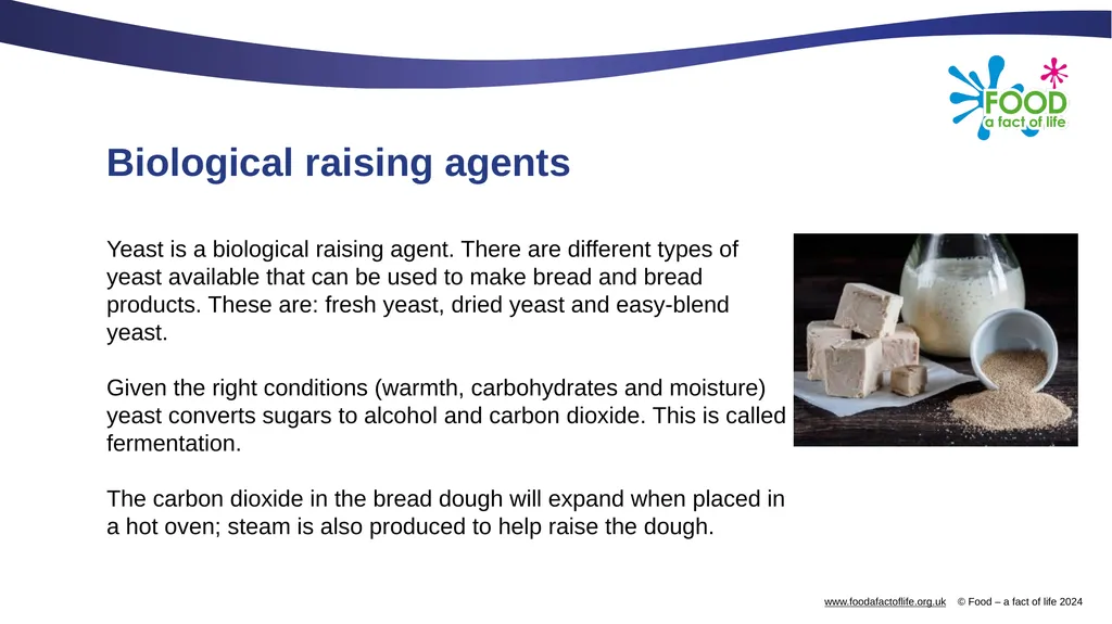 Raising agents Raising agents include anything - slide 8 of 14