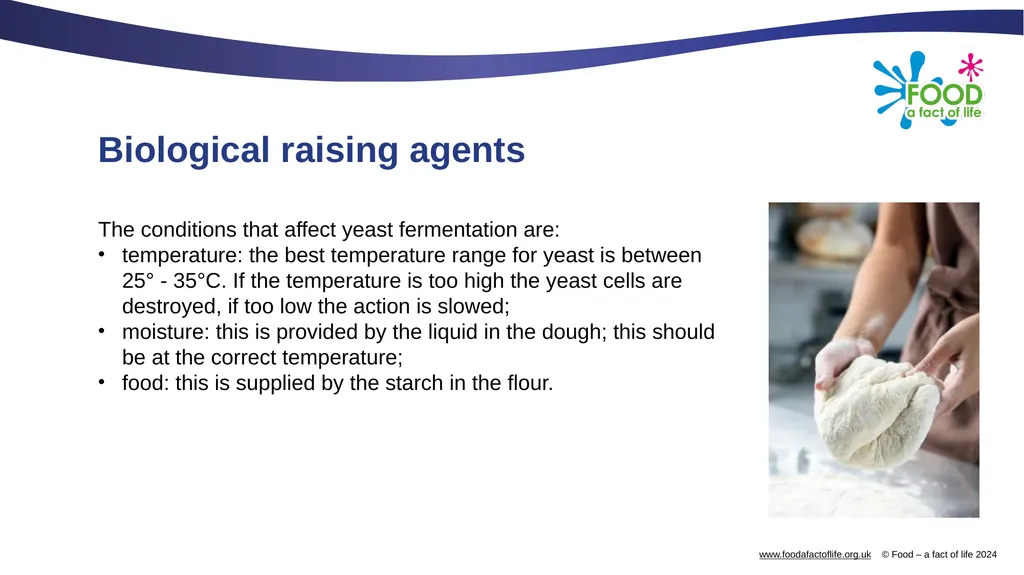 Raising agents Raising agents include anything - slide 9 of 14