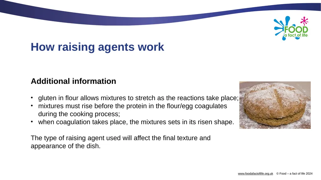 Raising agents Raising agents include anything - slide 13 of 14