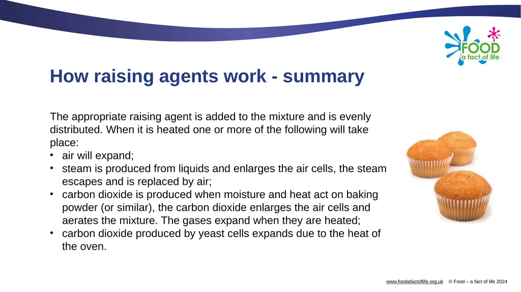 Raising agents Raising agents include anything - slide 12 of 14
