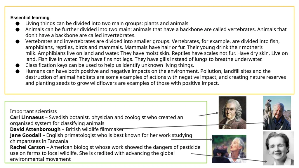 Year 4 Knowledge Organiser - Living things and - slide 2 of 2