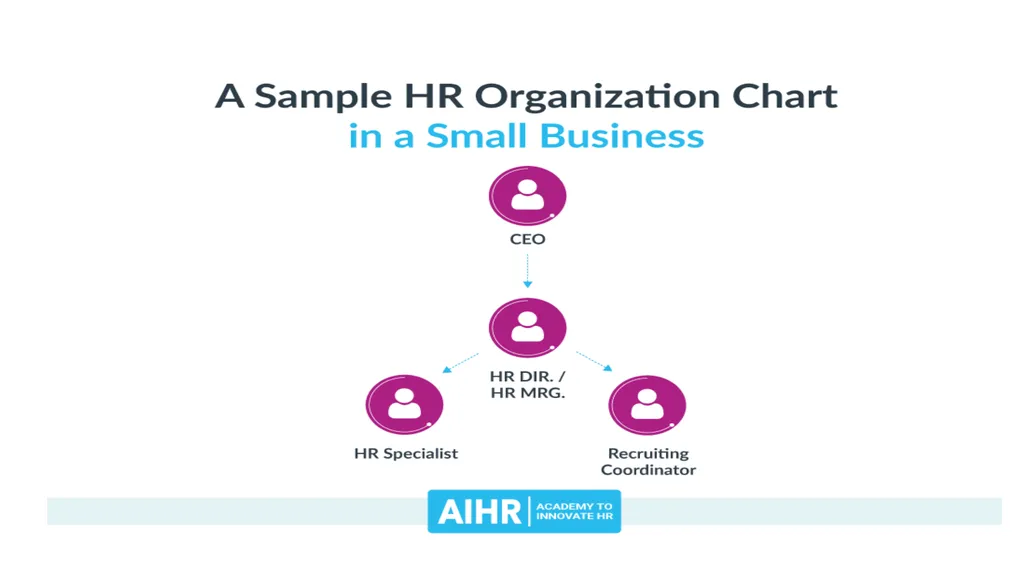 Structure and the function of the organization - slide 5 of 13