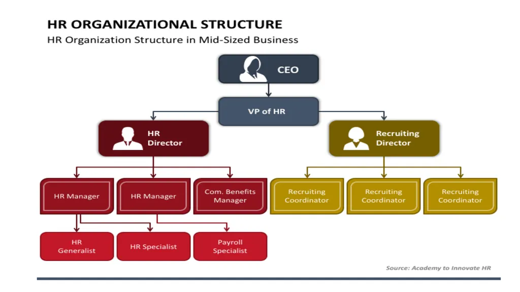 Structure and the function of the organization - slide 6 of 13