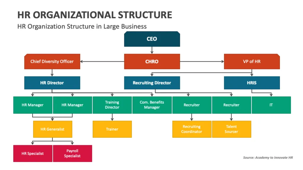 Structure and the function of the organization - slide 7 of 13