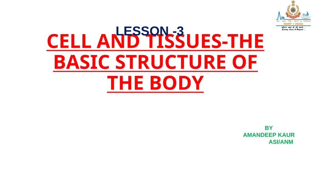 CELL AND TISSUES-THE BASIC STRUCTURE OF THE BODY - slide 1 of 19