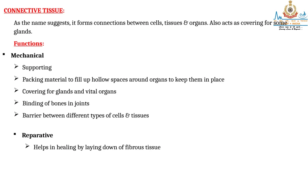 CELL AND TISSUES-THE BASIC STRUCTURE OF THE BODY - slide 11 of 19