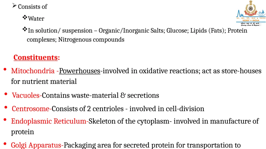 CELL AND TISSUES-THE BASIC STRUCTURE OF THE BODY - slide 5 of 19