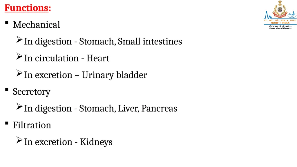 CELL AND TISSUES-THE BASIC STRUCTURE OF THE BODY - slide 16 of 19