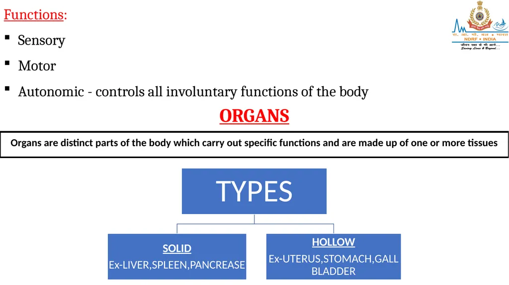 CELL AND TISSUES-THE BASIC STRUCTURE OF THE BODY - slide 15 of 19