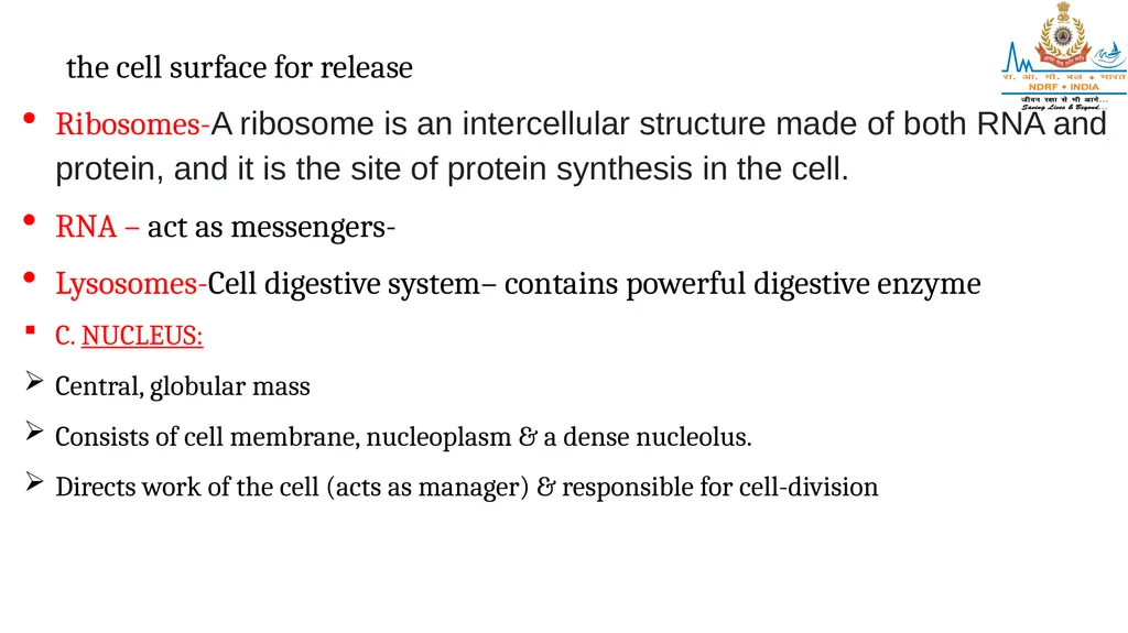 CELL AND TISSUES-THE BASIC STRUCTURE OF THE BODY - slide 6 of 19