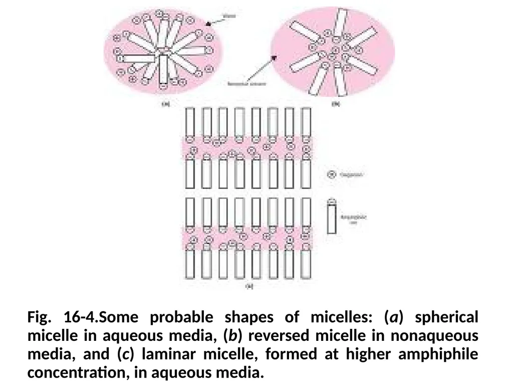 Interfacial Phenomena MARTIN’S PHYSICAL PHARMACY - slide 44 of 66