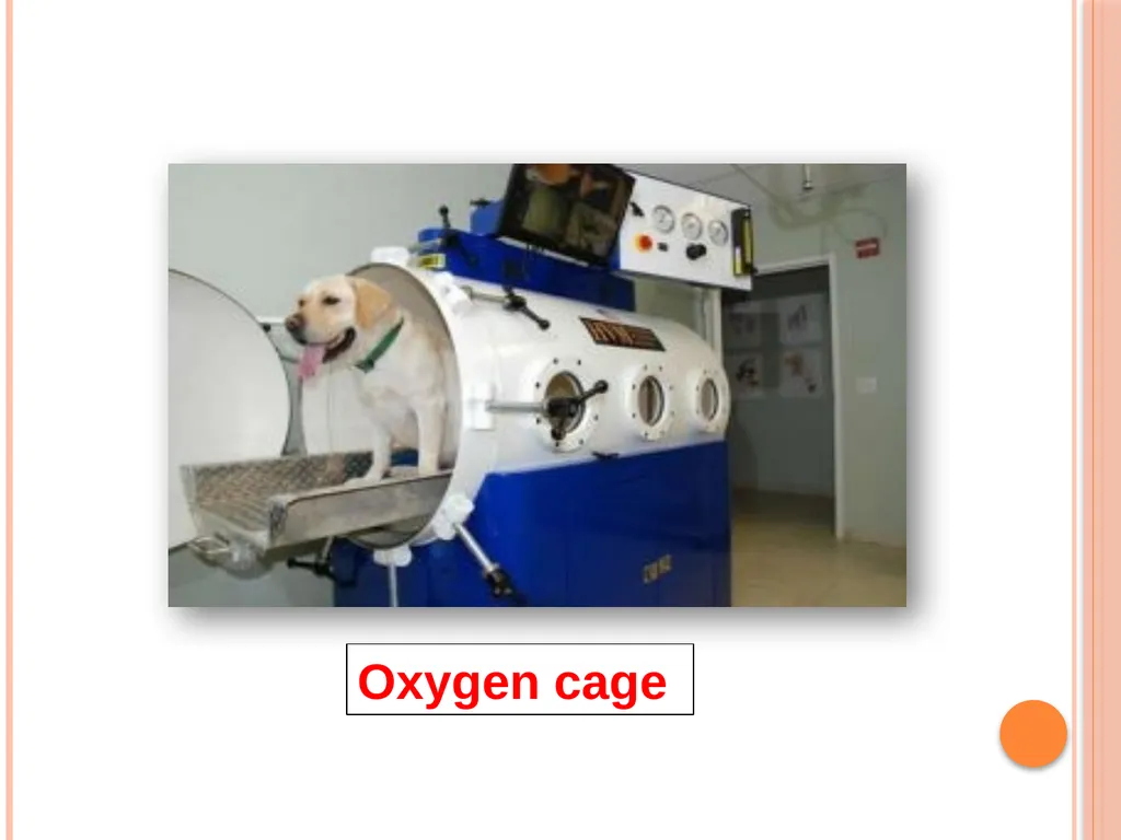 Oxygen Therapy in Veterinary Practice Prepared by- - slide 10 of 15