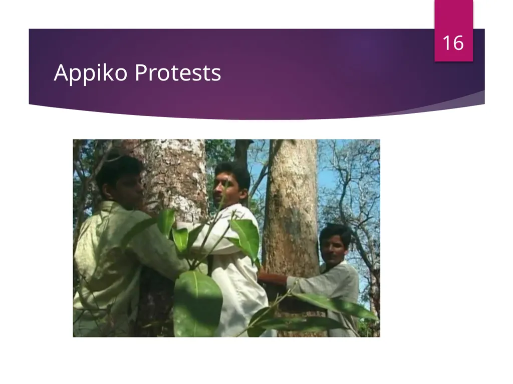 Environmental Movements in India -Mr. B. M. - slide 16 of 24