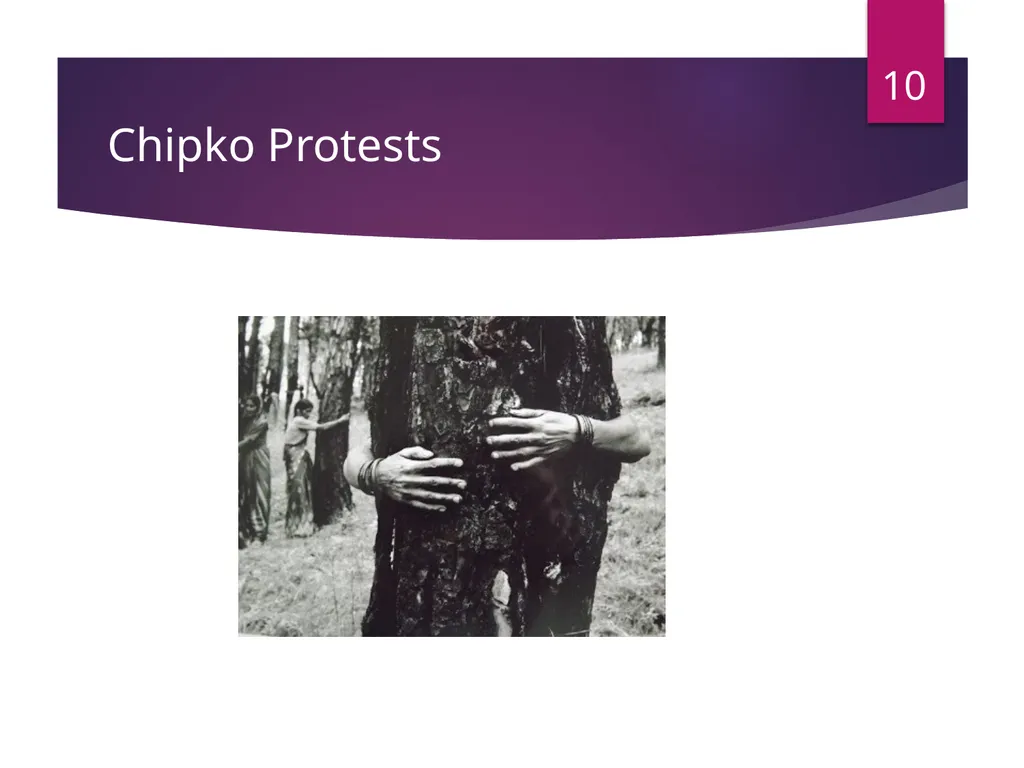 Environmental Movements in India -Mr. B. M. - slide 10 of 24