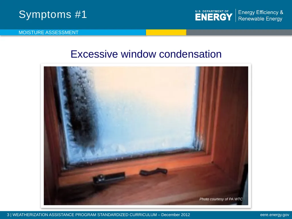 Moisture Assessment WEATHERIZATION ENERGY AUDITOR - slide 3 of 26