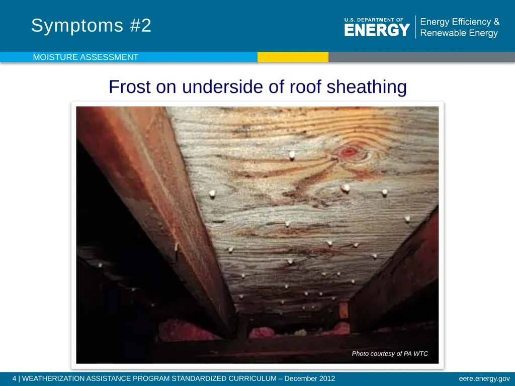 Moisture Assessment WEATHERIZATION ENERGY AUDITOR - slide 4 of 26