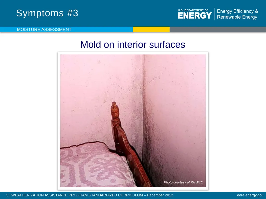 Moisture Assessment WEATHERIZATION ENERGY AUDITOR - slide 5 of 26