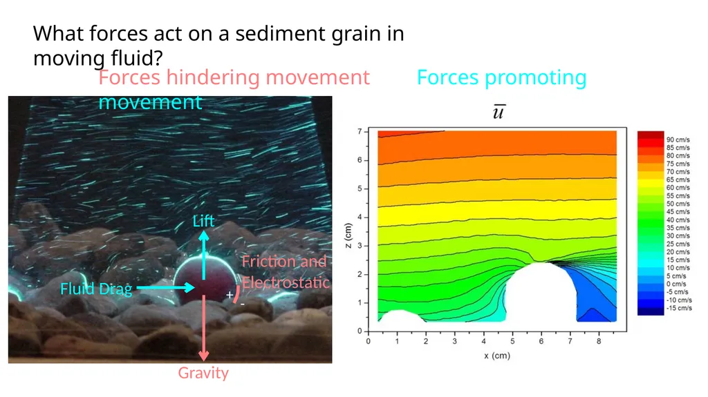 Sediment Transport Flowing water transports - slide 4 of 9