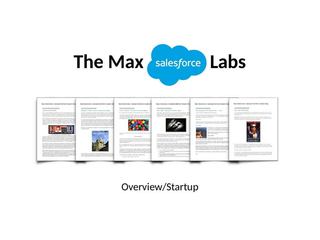 The Max Labs Overview/Startup What are they? - slide 1 of 10