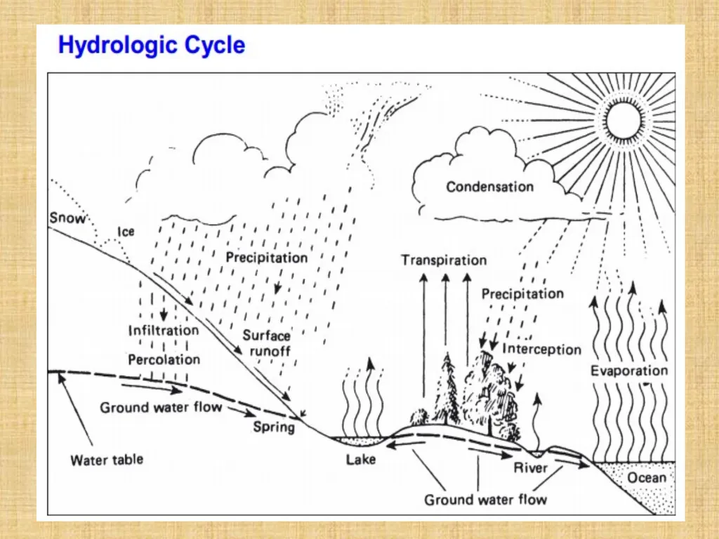 CHAPTER ONE INTRODUCTION By Ayansa T. (B.Sc. In - slide 3 of 14