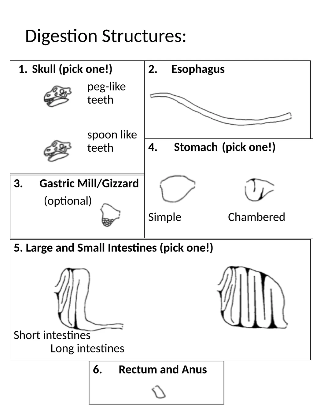 Paleontology Field Journal Resource by Nick - slide 17 of 28