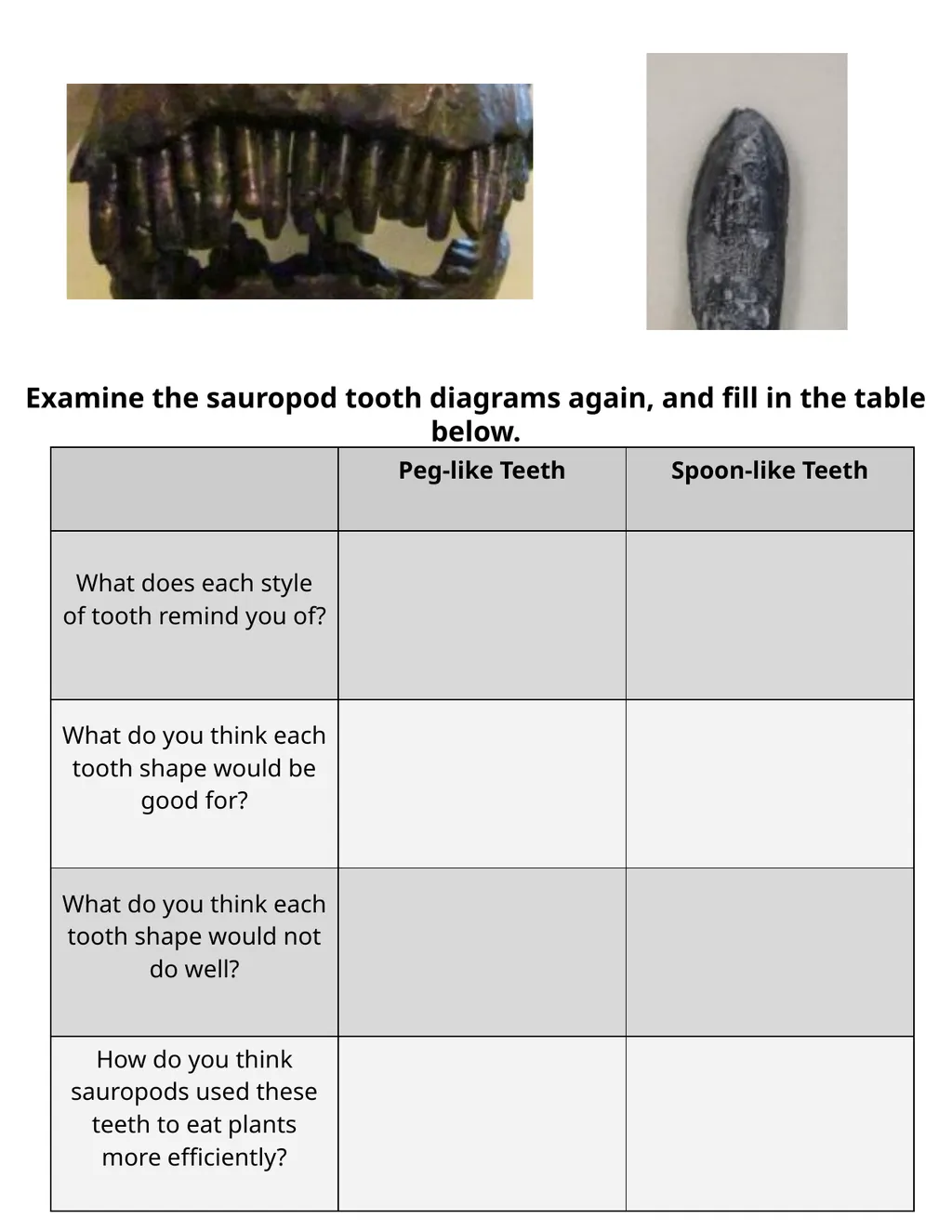 Paleontology Field Journal Resource by Nick - slide 5 of 28