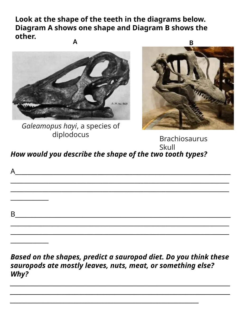 Paleontology Field Journal Resource by Nick - slide 3 of 28