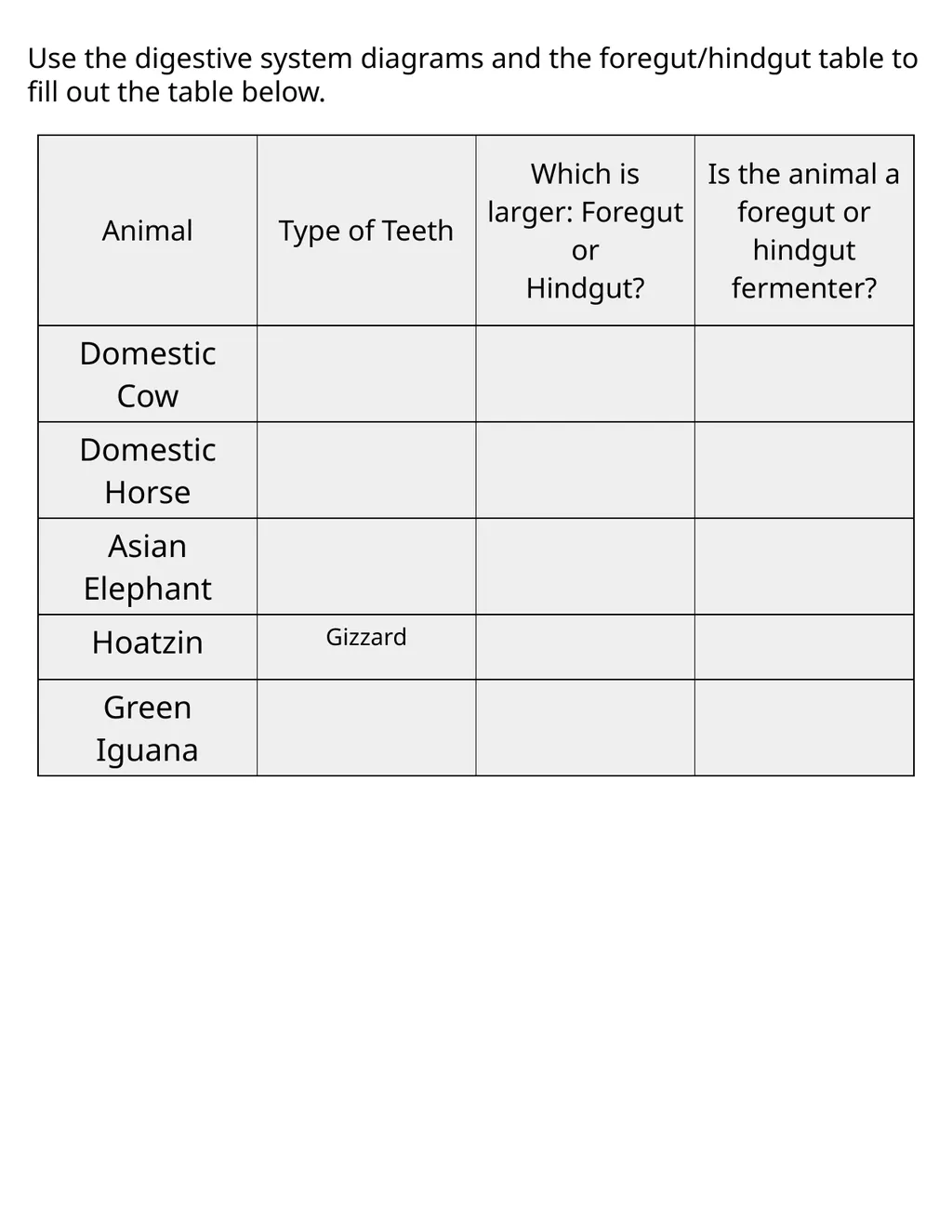 Paleontology Field Journal Resource by Nick - slide 13 of 28