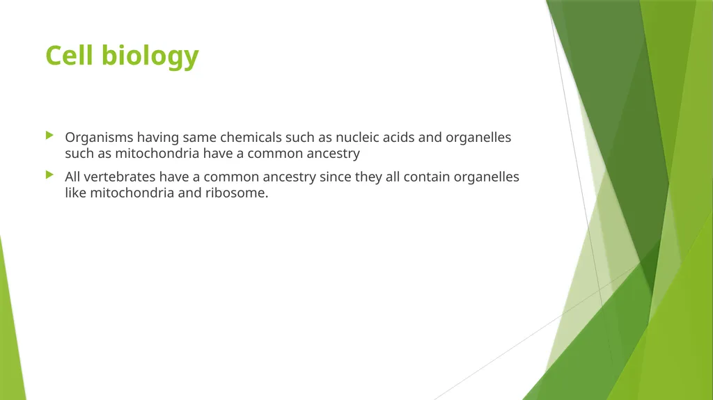 Fossil record What are fossils? Fossils are - slide 6 of 7