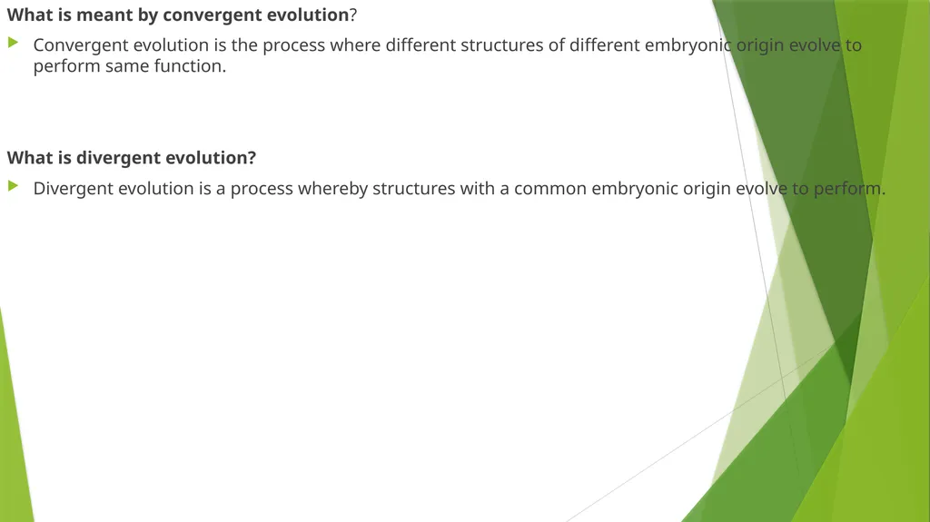 Fossil record What are fossils? Fossils are - slide 5 of 7