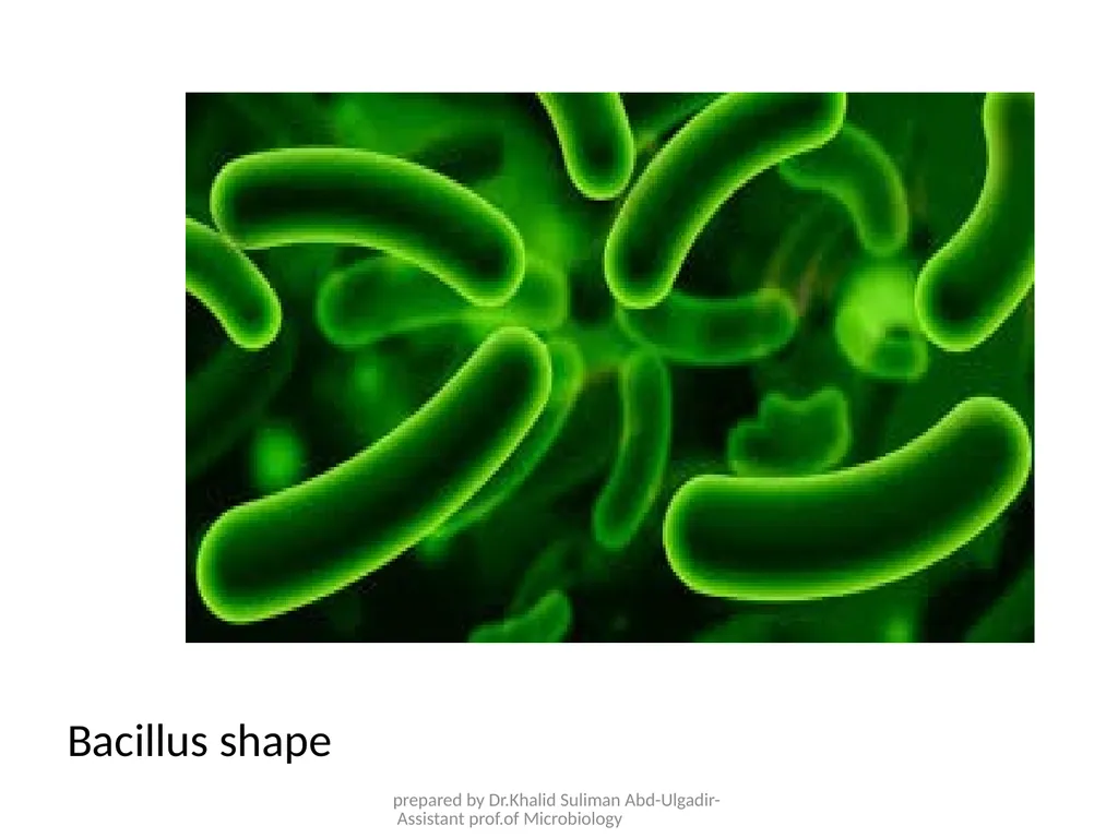 Course name: Microbiology & Parasitology Lecture - slide 5 of 16