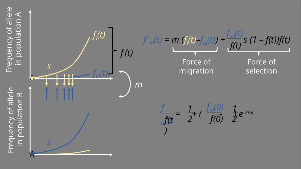 Characterizing the within-host spatial structure - slide 12 of 21