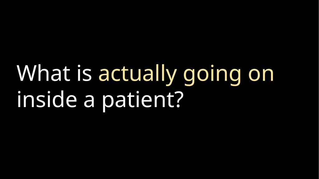 Characterizing the within-host spatial structure - slide 8 of 21