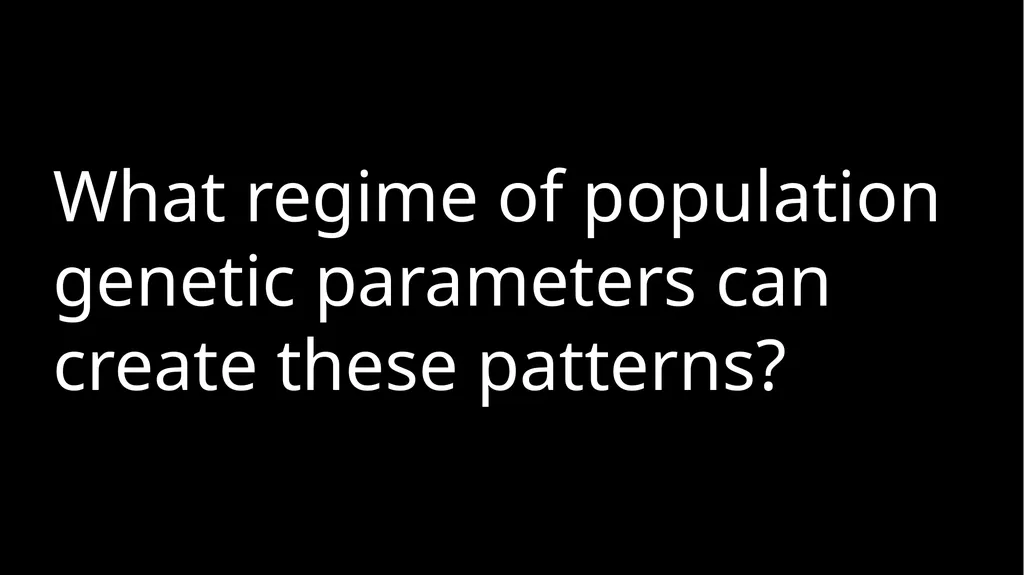 Characterizing the within-host spatial structure - slide 11 of 21