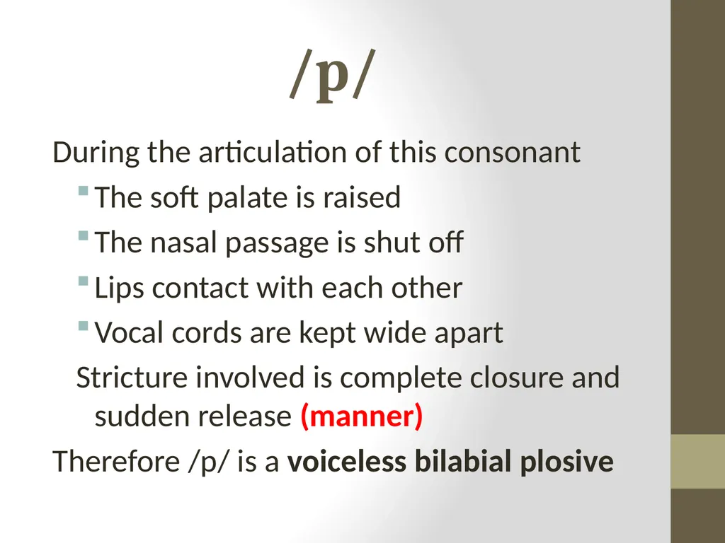 CLASSIFICATION OF CONSONANTS ACCORDING TO MANNER - slide 13 of 17