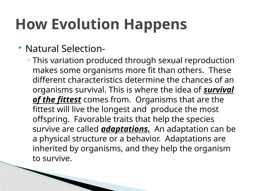 Chapter 18 Change Over Time Earth’s crust has - slide 18 of 28