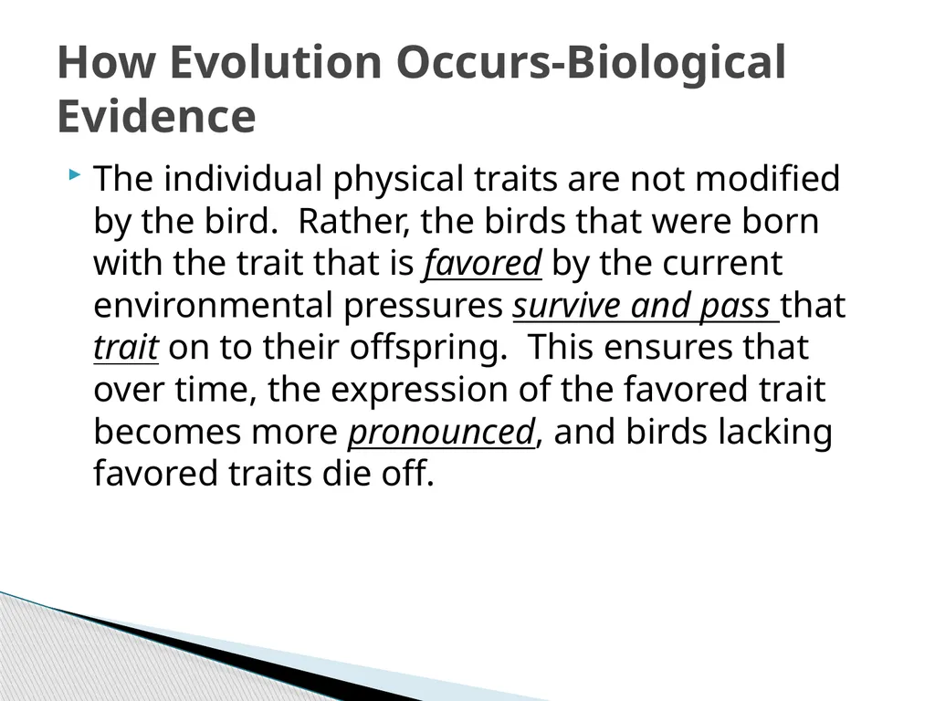 Chapter 18 Change Over Time Earth’s crust has - slide 24 of 28