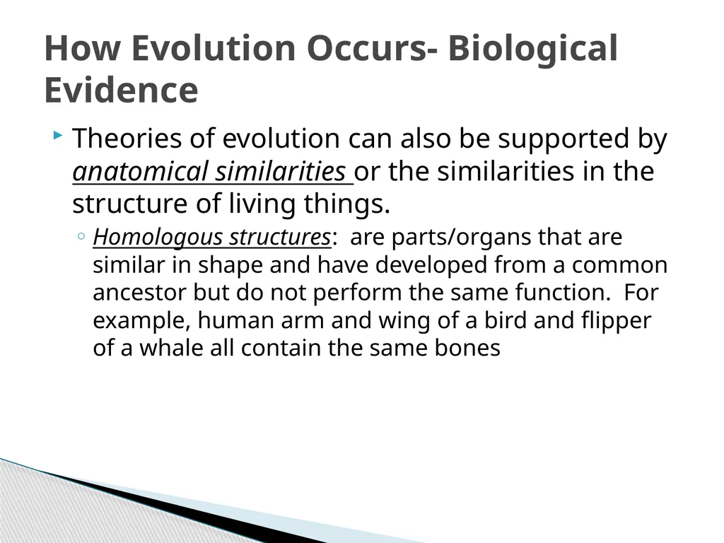 Chapter 18 Change Over Time Earth’s crust has - slide 26 of 28