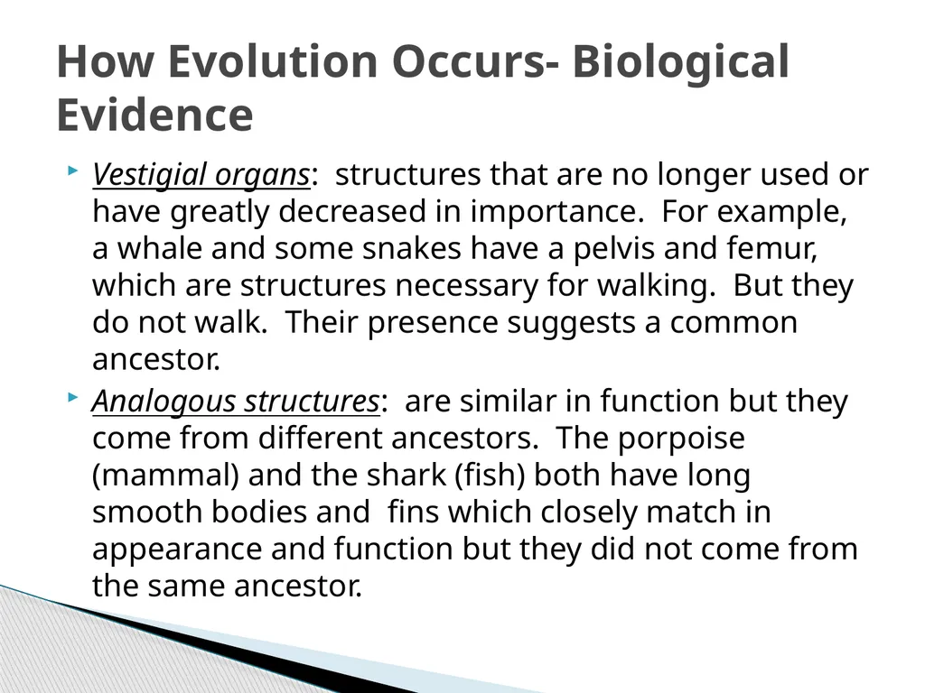 Chapter 18 Change Over Time Earth’s crust has - slide 27 of 28