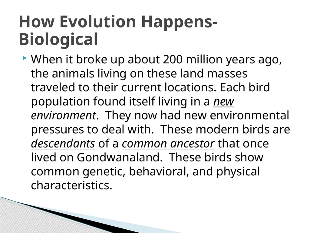 Chapter 18 Change Over Time Earth’s crust has - slide 22 of 28