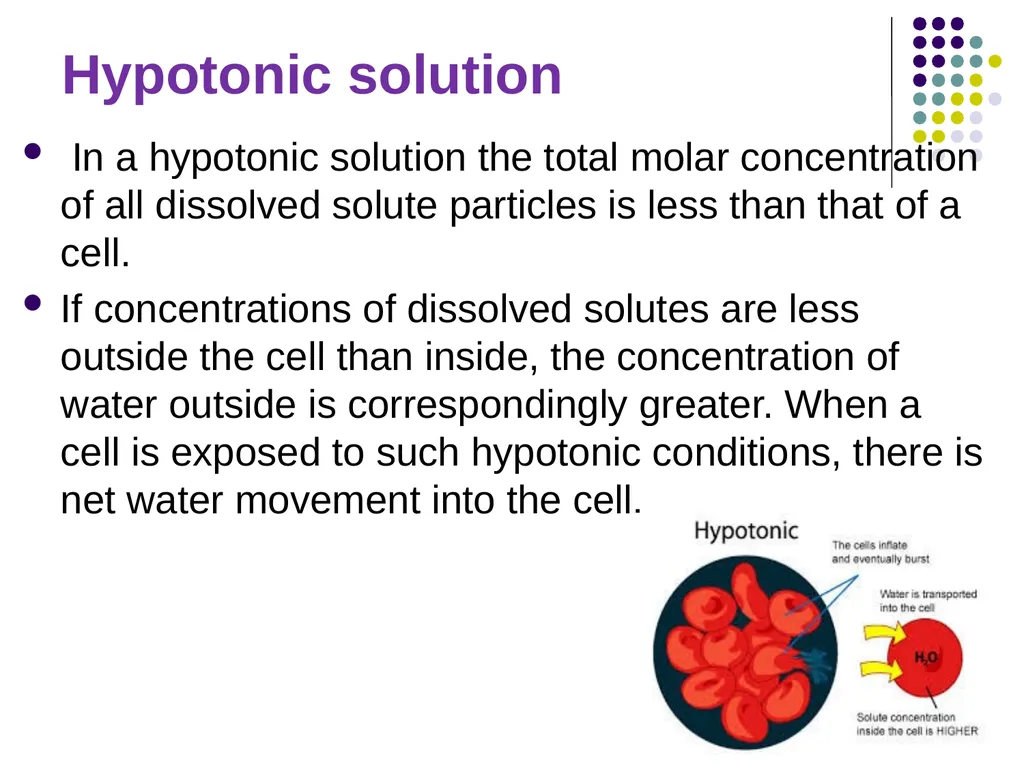 Osmotic Fragility Test Physiology Lab-3 Practical - slide 8 of 22
