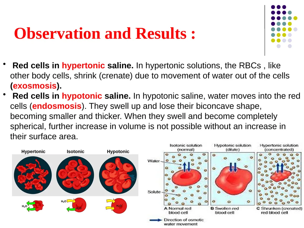 Osmotic Fragility Test Physiology Lab-3 Practical - slide 17 of 22