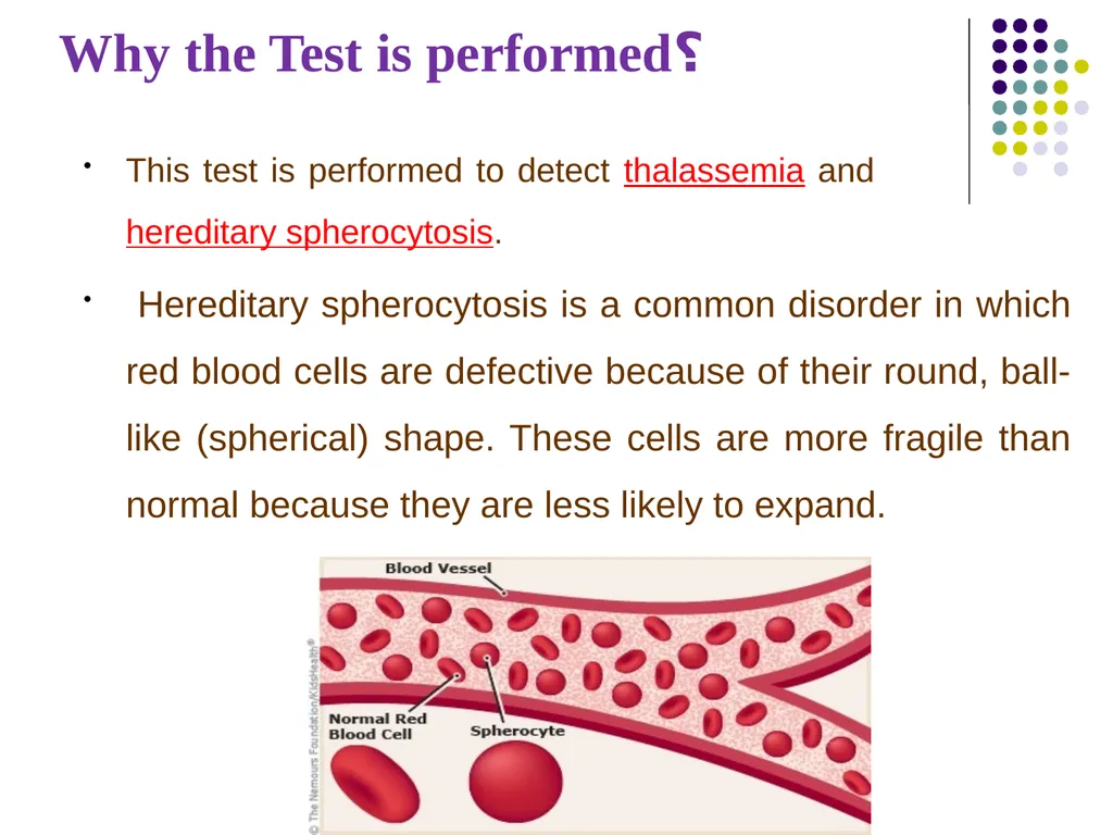 Osmotic Fragility Test Physiology Lab-3 Practical - slide 11 of 22