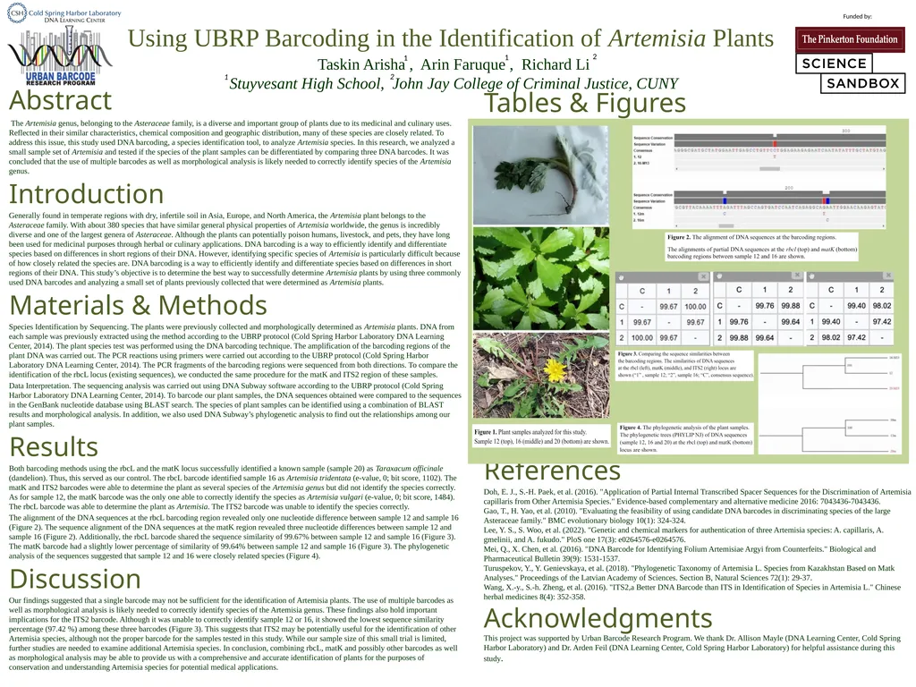 Using UBRP Barcoding in the Identification of
