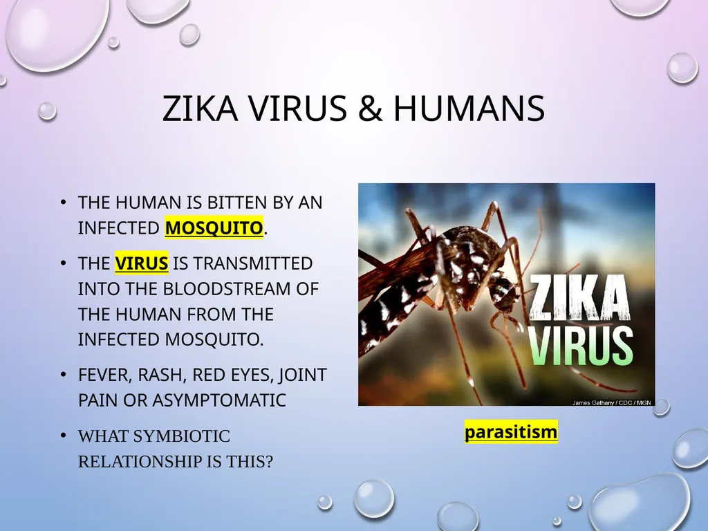 Symbiosis After the presentation, I should be able - slide 16 of 17
