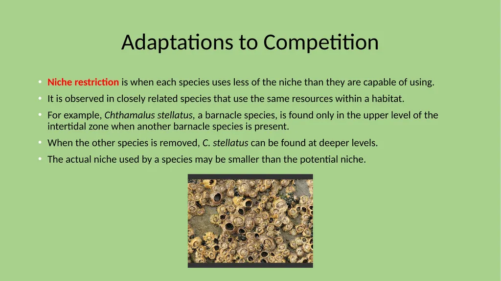 Focus 2/12 Define CARRYING CAPACITY What are some - slide 11 of 21
